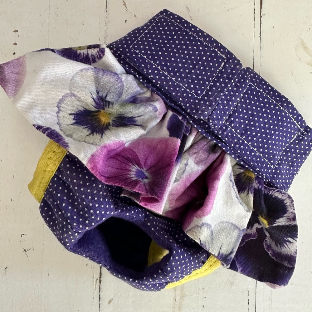 Skirted female dog britches